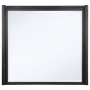 Leandro - Dresser Mirror - Burnished Black