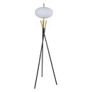 Floor Lamp - Black / Gold