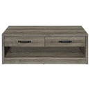 Felix - 2-Drawer Engineered Wood Coffee Table - Gray Driftwood