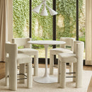 Zuno - Velvet Performance Fabric Upholstered Counter Stool (Set of 2)