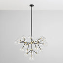Phoenix - Chandelier - Black / Gold